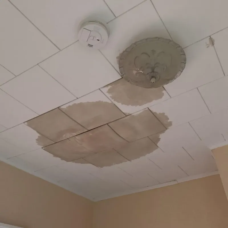 Ceiling Water Damage Repair in Aledo, TX