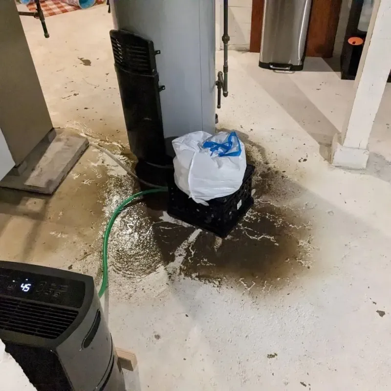 Sewage Backup Cleanup Service in Aledo, TX